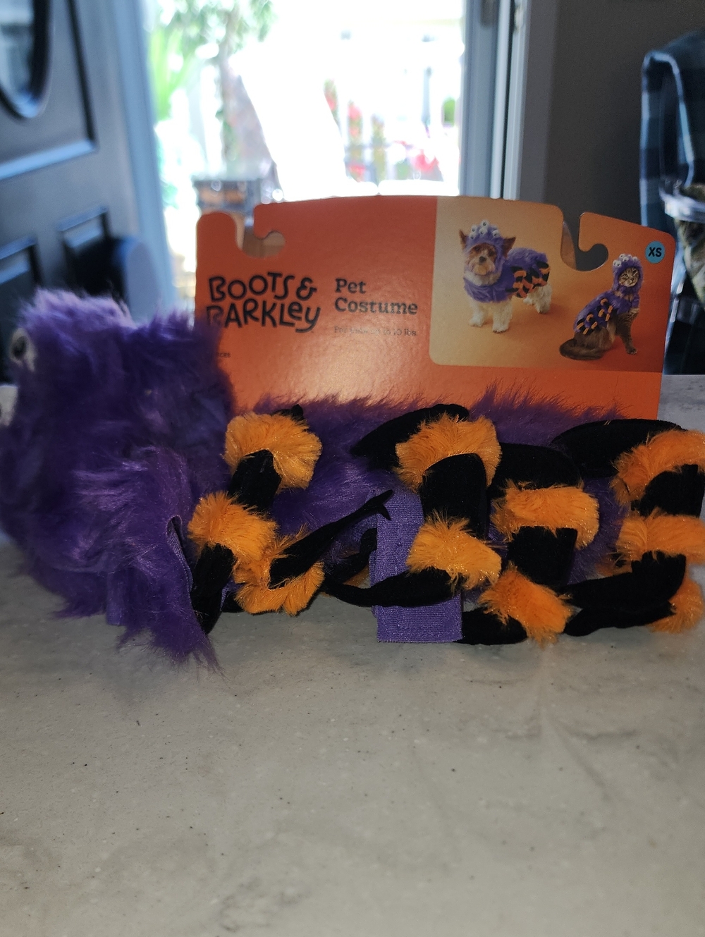Boots & Barkley Purple and Orange Spider Pet Costume for Size XS For Small Pets
